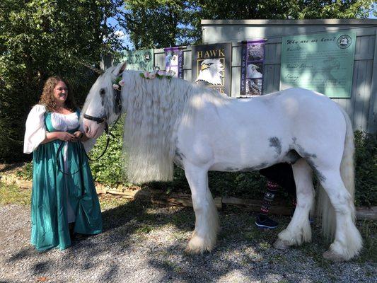 We loved petting this gorgeous horse.