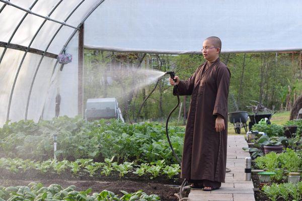 Monks try to grow most of their food.