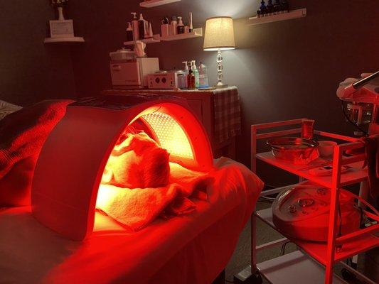 LED therapy facial