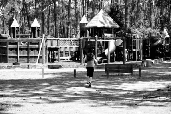 The playground