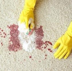 Young's Chem-Dry Carpet Cleaning is a trusted carpet cleaning company who has been in business locally in Arlington for years...