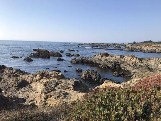 Stunning views of the tide pools down below