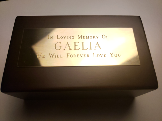 Pet Rest in Peace urn box with memorial plate for my Gaelia.