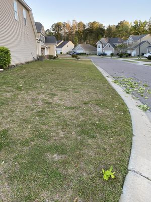 This is an after photo of my first lawn job