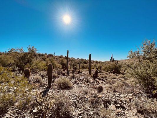 A beautiful guided hike at the lost dog wash trail.