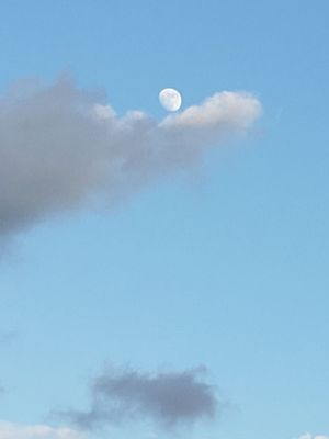 Even the moon was out today!