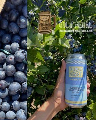 Gold Medal Winner: Blueberry Fields Forever Shandy