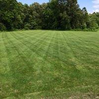 Fresh Cut Grass