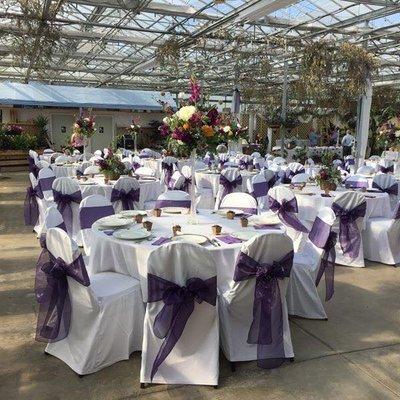 Weddings at Buchwalter Greenhouse