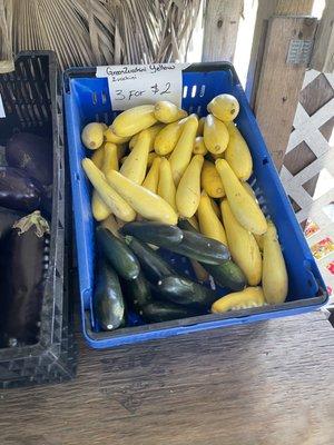 Zucchini and yellow squash