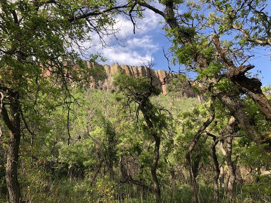 Ponderosa Trail