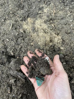 Bits of garbage in the "organic compost"