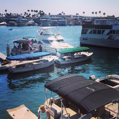 Newport Harbor View