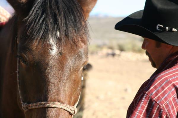 Vegas Horse Tours