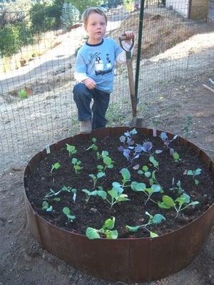 Raised Planting & Garden Bed in action