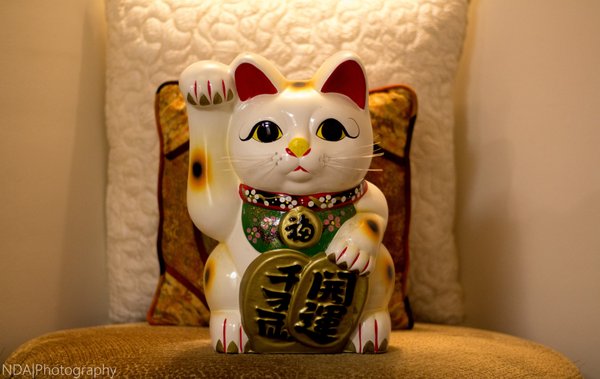 Maneki Neko in Japanese which means "beckoning cat." The calico coloring is considered the luckiest cat.