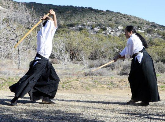 Aikido Sho Bi Juku Dojo