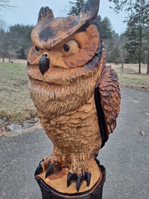 Giant Horned Owl