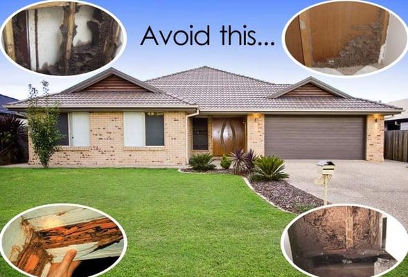 Home Equity Termite Control