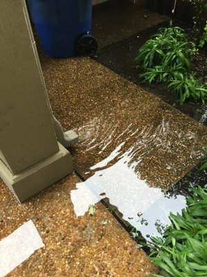 Gutters are supposed to drain away from the house.  This one was installed onto the pavement, 5 or 6 feet from my front door.