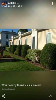 Buena Vista Lawncare