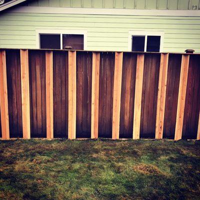 Cedar privacy fencing