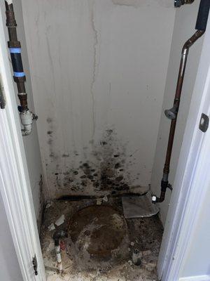 Mold In my unit - was found 2months after I moved in.