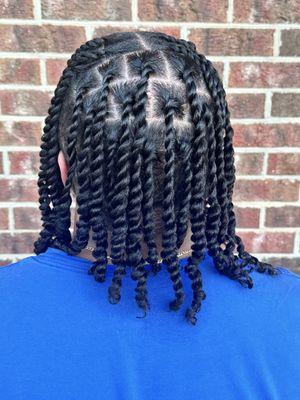 Two Strand Twist