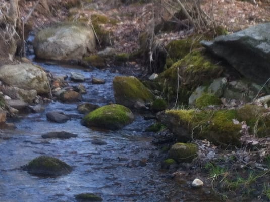 Horse Hill Nature Preserve