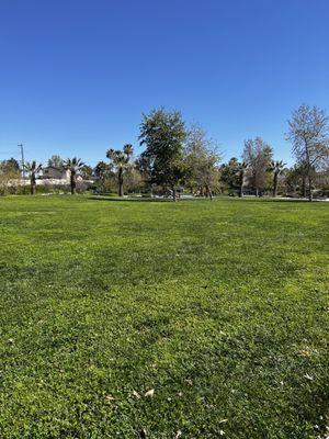 Large grassy area