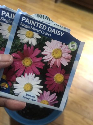 Plant seeds less than $2 per pack