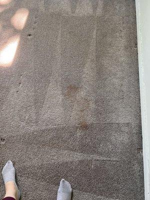 Stain still on carpet even after cleaning company "cleaned" the carpets and dried.