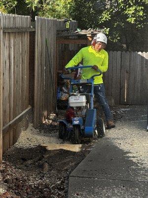 Clearing tree stumps is an important step in improving our plot. We work to make it even more beautiful and cozy!