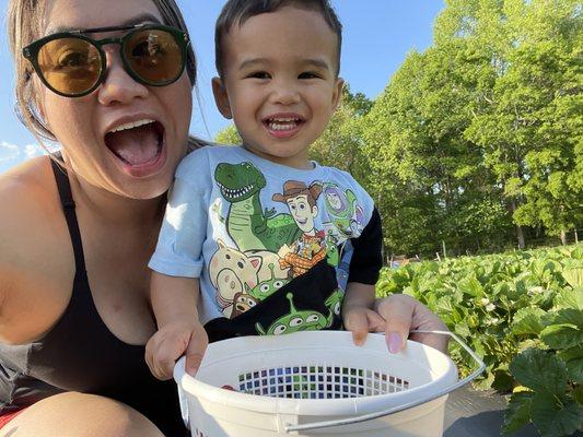 Picking berries in the field w/ my little one