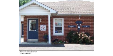 Waterloo Animal Hospital