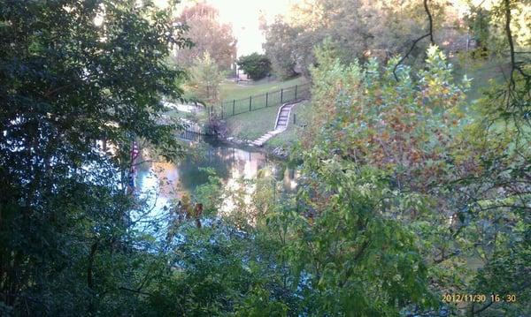 View of the Comal behind the home.