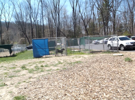 Spacy outdoor kennels WITH shade!