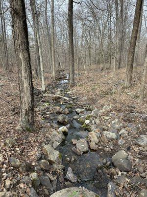 West Milford Jungle Habitat