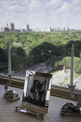 View of Central Park from Gallery