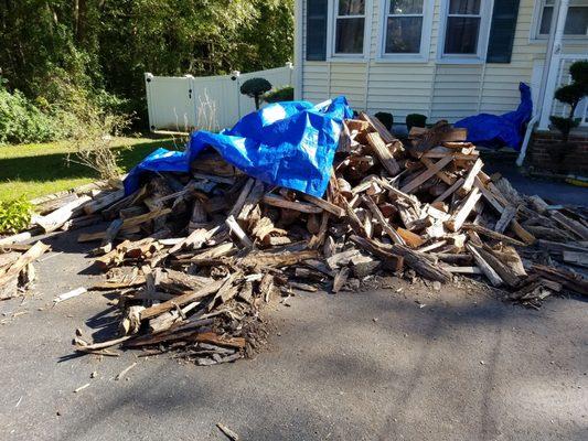 According to John,  during the 2 weeks  of rain, I must've stacked his wood and brought this in to make him look bad ! BEWARE!