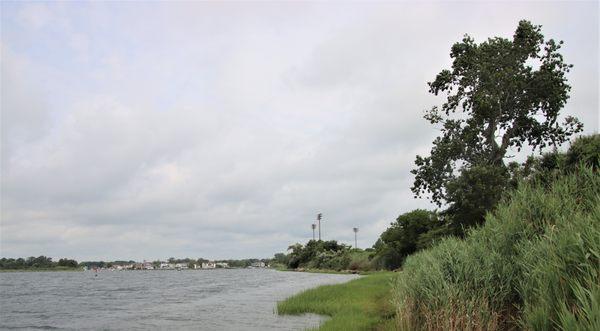 Looking north along the beach