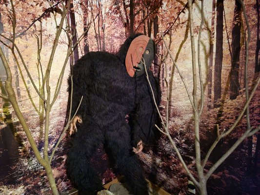 Bigfoot?