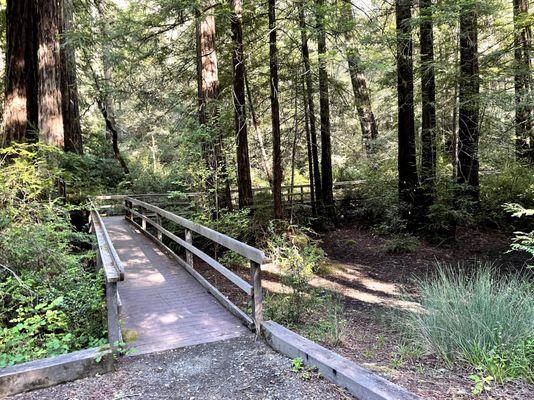 pretty bridge spanning from one side of camp to bathroom area