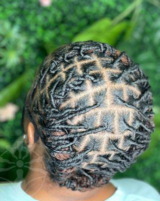 Starter Locs