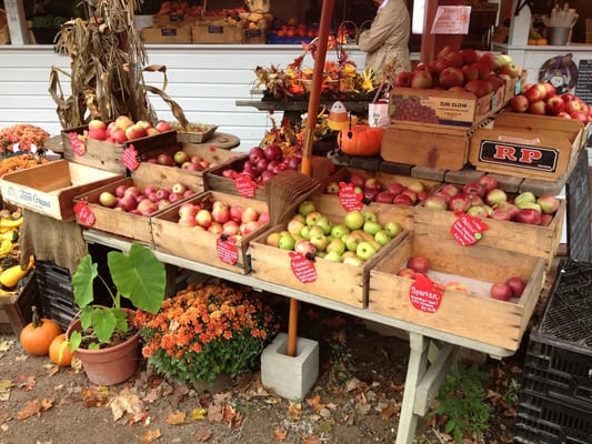 Many apples to choose from, for applesauce, pie, & eating.