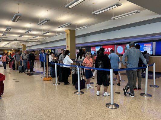 3 hour line at Budget. No lines at any other car rental company.