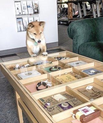 Nori deciding what to buy at Swag, our retail shop!