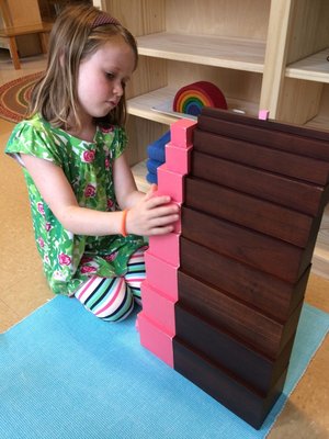 Working with the Pink Tower, using visual discrimination, coordination, and precision, and preparing for future math concepts