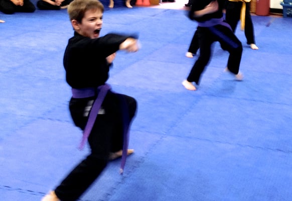 Students who try hard will achieve in the martial arts.