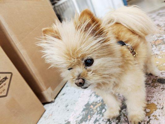 Shop supervisor and foreman: Dusty!